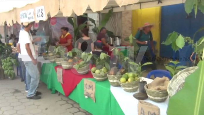 feria-del-cafe4