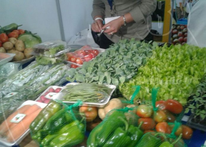 feria1