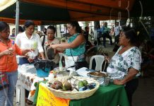 Feria Gastronómica dedicada a la promoción y venta de plantas y productos perecederos entusiasmo