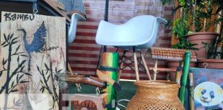 nicaragua, bambu, madera, feria, emprendimiento,