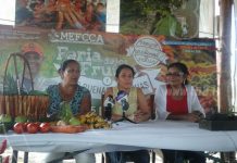 Anuncian feria de los frutos y las buenas cosechas
