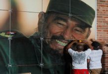 Bolivia destaca aporte de Fidel en defensa de la Madre Tierra