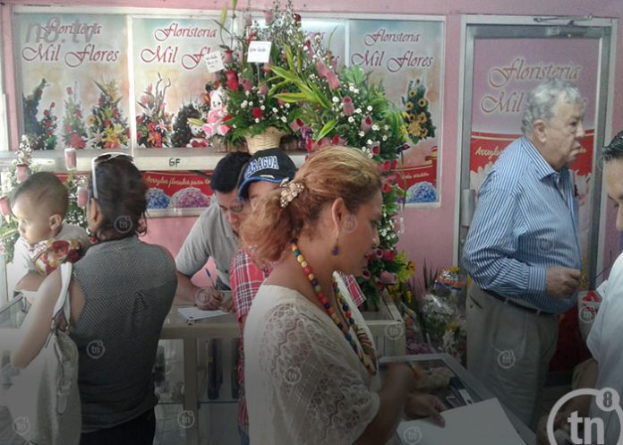 flores1
