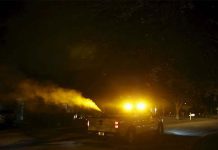 Florida en emergencia sanitaria por el zika