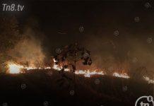 Rivas: Incendio forestal consume más de cien manzanas de pasto