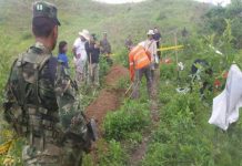 Colombia: Hallan dos fosas comunes con restos de catorce personas