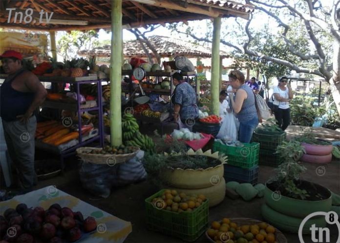 frutas