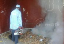 Trabajos de fumigación continúan en Managua