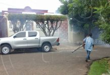 Frenan propagación del zancudo en Managua
