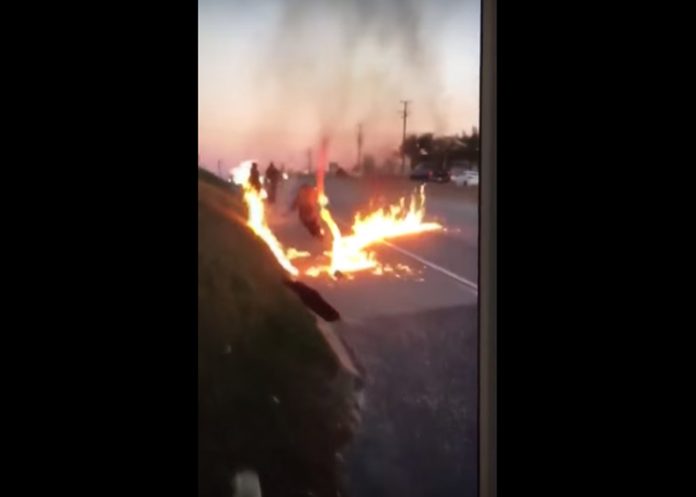 fuego