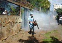 Barrio Santo Domingo mantiene lucha contra zancudos