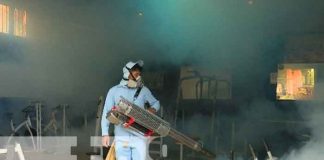 nicaragua, managua, fumigacion,