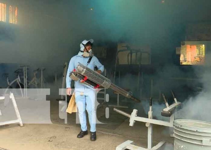 fumigacion-2 nicaragua, managua, fumigacion,