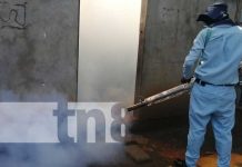 Jornadas de lucha anti epidémica en Managua para eliminar el zancudo nicaragua, fumigacion, managua, salud, barrio altagracia, zancudo,