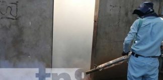 nicaragua, fumigacion, managua, salud, barrio altagracia, zancudo,