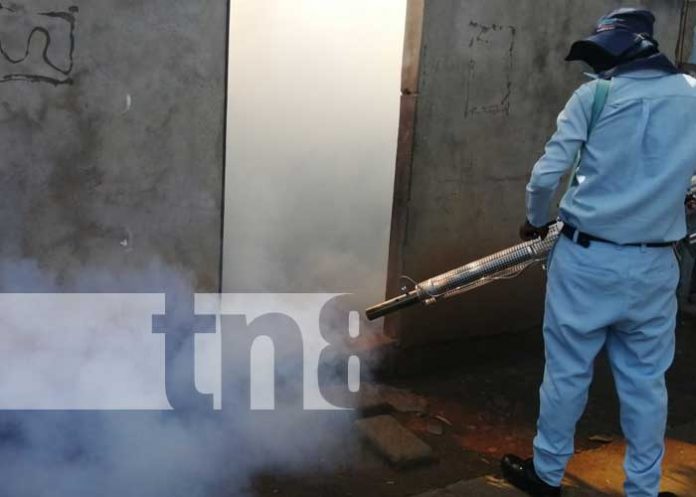 nicaragua, fumigacion, managua, salud, barrio altagracia, zancudo,