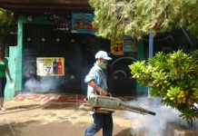 Managua: Intensifican jornada de fumigación en barrios