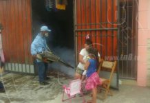 Managua: Controlan zancudos en barrio Carlos Fonseca
