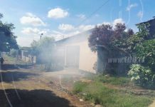 Jornadas de fumigación siguen por barrios de Managua