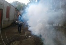 Acatan recomendaciones tras fumigación en viviendas