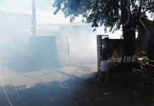 Llaman a no acumular basura en los hogares