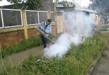Brigadas de salud continúan jornadas de fumigación
