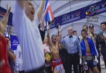 Gallito despojado en Tailandia