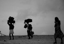 20 de junio: Día Mundial del Refugiado protección, onu, agencia, refugio,