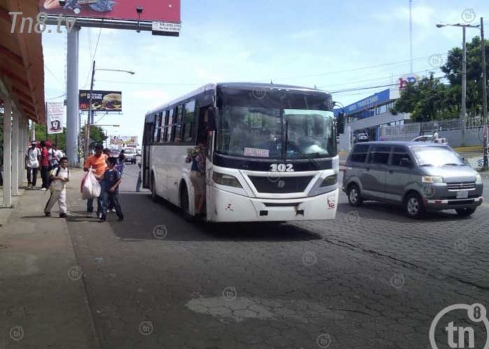 gpsnica21
