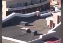 Mujer filma a pareja teniendo sexo en azotea y viraliza el video
