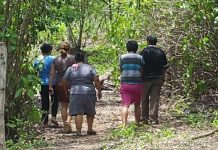 El Salvador: Lo matan por descubrir guarida de pandillas