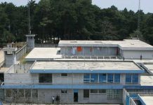 Guatemala: Pandillas delinquen por falta de prevención y control