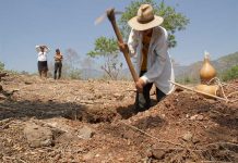 ONU busca fondos para la atención de afectados por sequía en Guatemala
