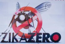 OMS: Aumenta relación del zika con enfermedad neurológica