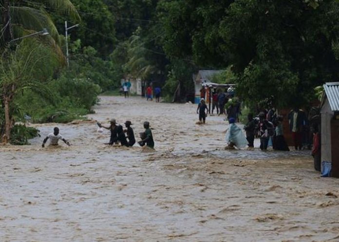 haiti-muertos