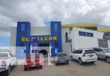 El Halcón amplía operación en Nicaragua por el buen ritmo en las ventas nicaragua, el halcon, empresa, crecimiento, expansion, economia,