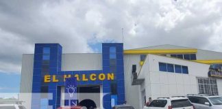 nicaragua, el halcon, empresa, crecimiento, expansion, economia,