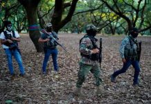 Narcos obligan a jóvenes michoacanos a ser ‘halcones’ del crimen organizado mexico, jovenes, crimen organizado, narcotrafico,