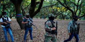 mexico, jovenes, crimen organizado, narcotrafico,