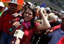 Piden a misión internacional investigue asesinato de Berta Cáceres