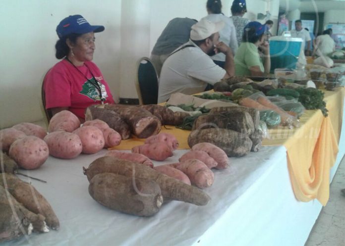 hort1