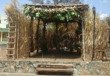 Tradición de huertos de frutas en Pueblos Blancos
