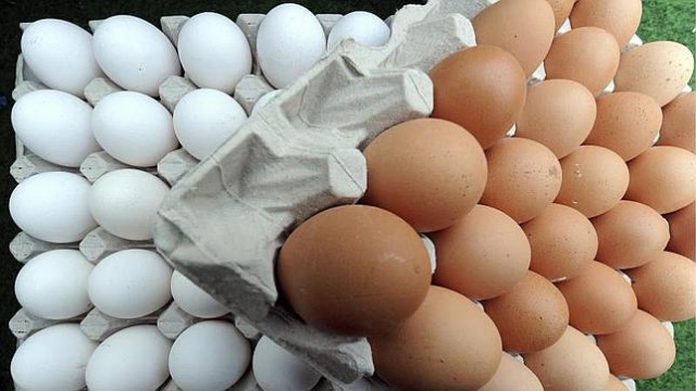 huevos-color-portada