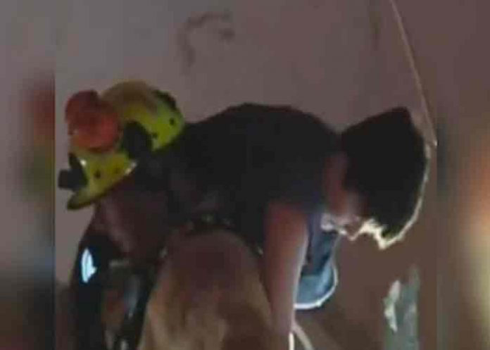 identifican- estados unidos, adolescente, miami, edificio,