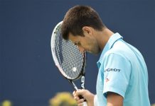 Tsonga sorprendió a Djokovic