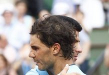 Djokovic, Nadal y una exhibición millonaria en Abu Dabi