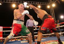 Mayorga cumplió, ganó por KO y tumbó al Mexicano Saralegui