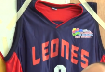 Leones favoritos
