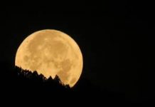 Súper Luna adornará el cielo este sábado