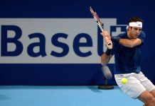 Del Potro vuelve a entrenarse